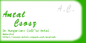 antal csosz business card